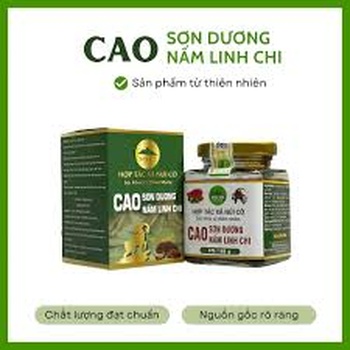 Cao Sơn Dương Nấm Linh Chi giúp bổ thận tráng dương, hủ 100g