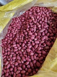 Lạc tím Quỳnh Lâm