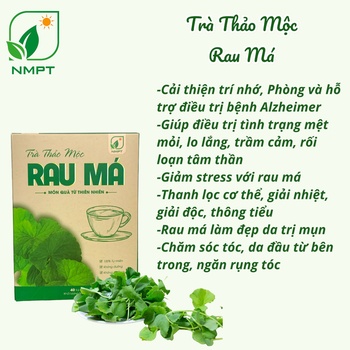 TRÀ THẢO MỘC RAU MÁ
