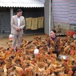 HTX chăn nuôi gà đồi Hương Nhượng
