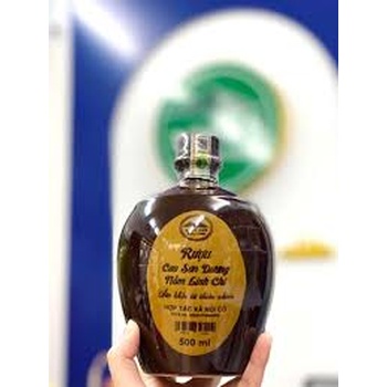 Rượu Cao sơn dương Nấm linh chi hỗ trợ trị đau nhức xương khớp, chum 500ml