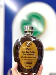 Rượu Cao sơn dương Nấm linh chi hỗ trợ trị đau nhức xương khớp, chum 500ml