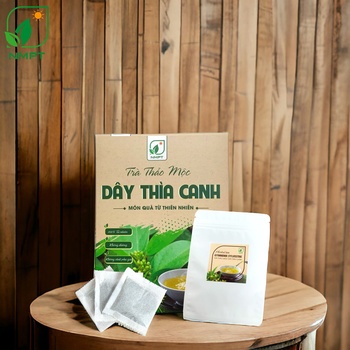 TRÀ THẢO MỘC DÂY THÌA CANH