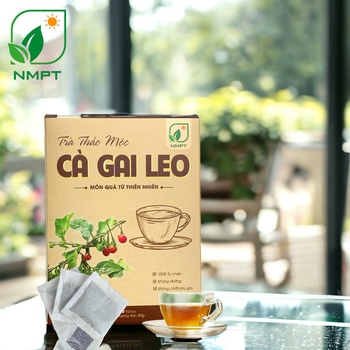 TRÀ THẢO MỘC CÀ GAI LEO