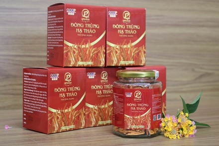 Đông trùng hạ thảo