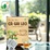 TRÀ THẢO MỘC CÀ GAI LEO