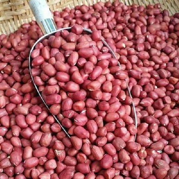Nhân Lạc đỏ Quỳnh Lâm