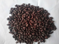 Lạc đen Quỳnh Lâm