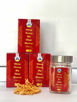 Nấm Đông Trùng Hạ Thảo Hương Phúc Sấy Thăng Hoa