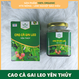 Cao Cà gai leo lọ 100g