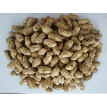 Lạc nguyên vỏ Quỳnh Lâm