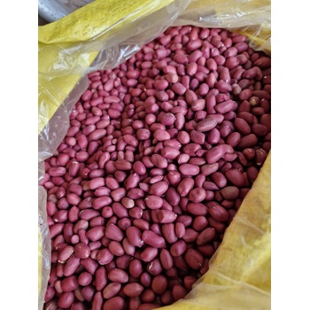 Lạc tím Quỳnh Lâm