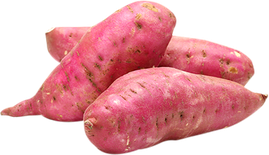 Khoai lang giống nhật