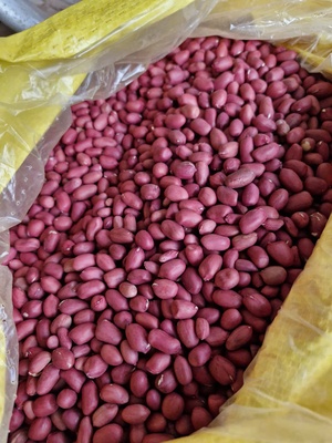 Lạc tím Quỳnh Lâm