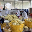HTX sản xuất chế biến Nông thuỷ sản Phú Cường - Sông Đà