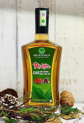 Rượu Cao Sơn Dương Nấm Linh Chi chai 500ml