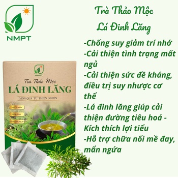 TRÀ THẢO MỘC LÁ ĐINH LĂNG
